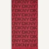 DKNY Metall-Pashmina